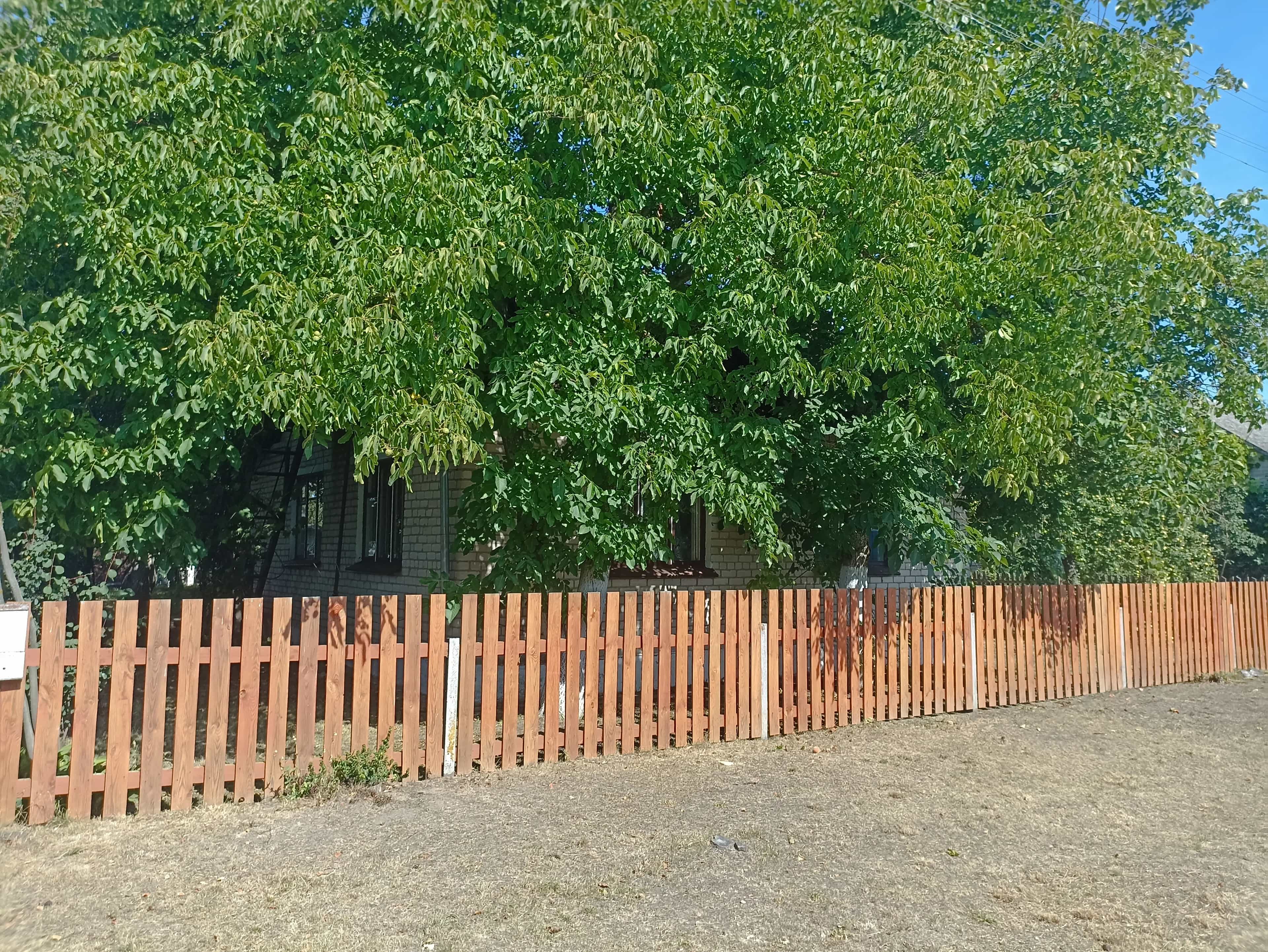 Беларусь, Гомельская область, Калинковичи, Молодёжная улица, 11, фото 10