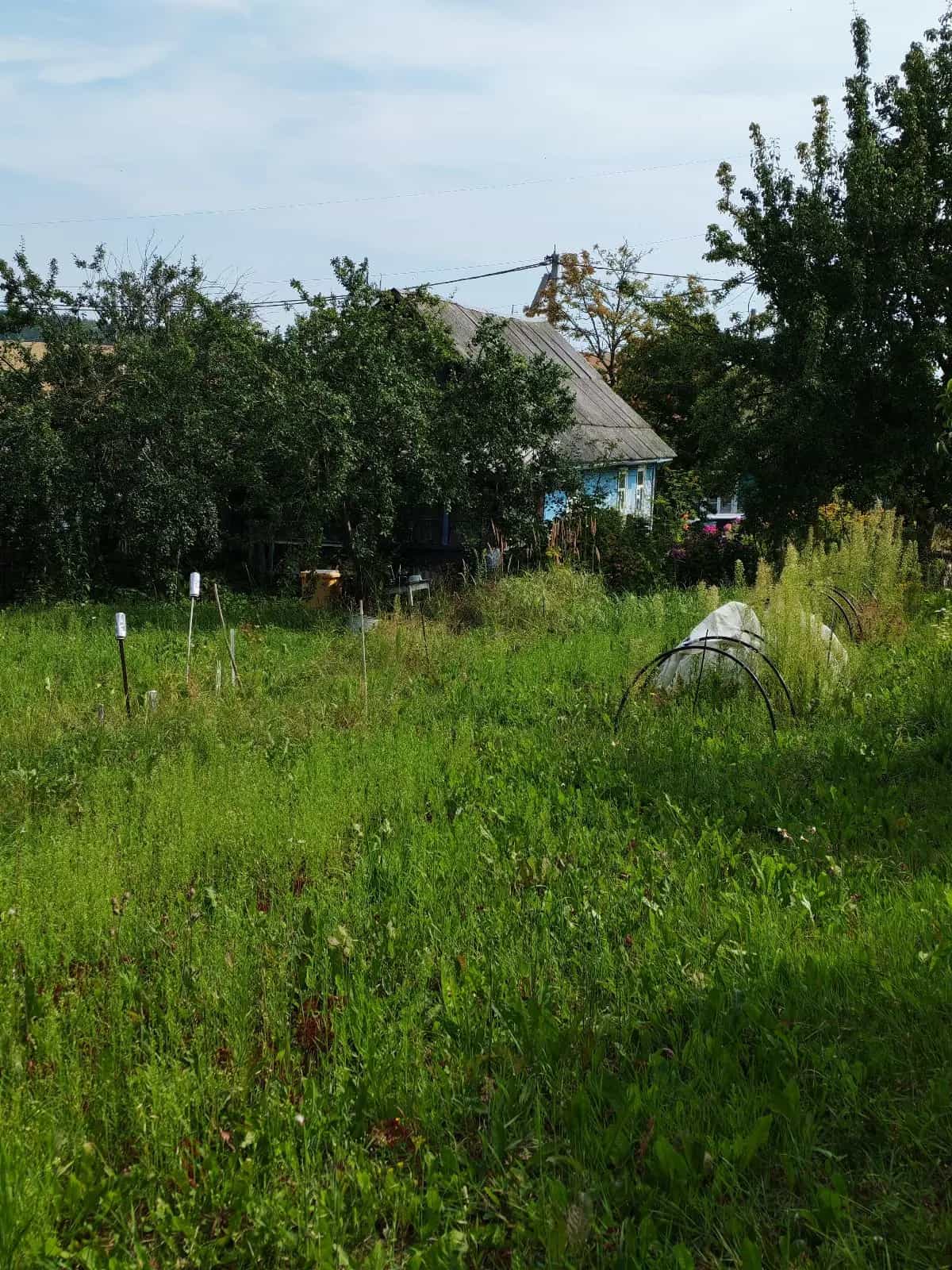 Беларусь, Минская область, Смолевичи, Криничная улица, 13, фото 5