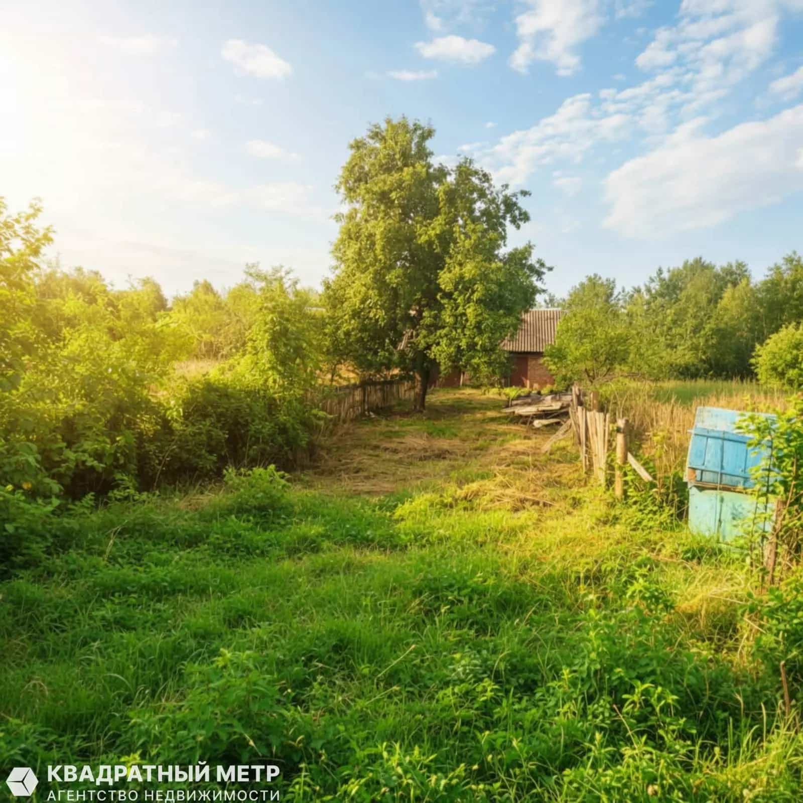 Беларусь, Брестская область, Дрогичинский район, агрогородок Закозель, улица Гагарина, 33, фото 3