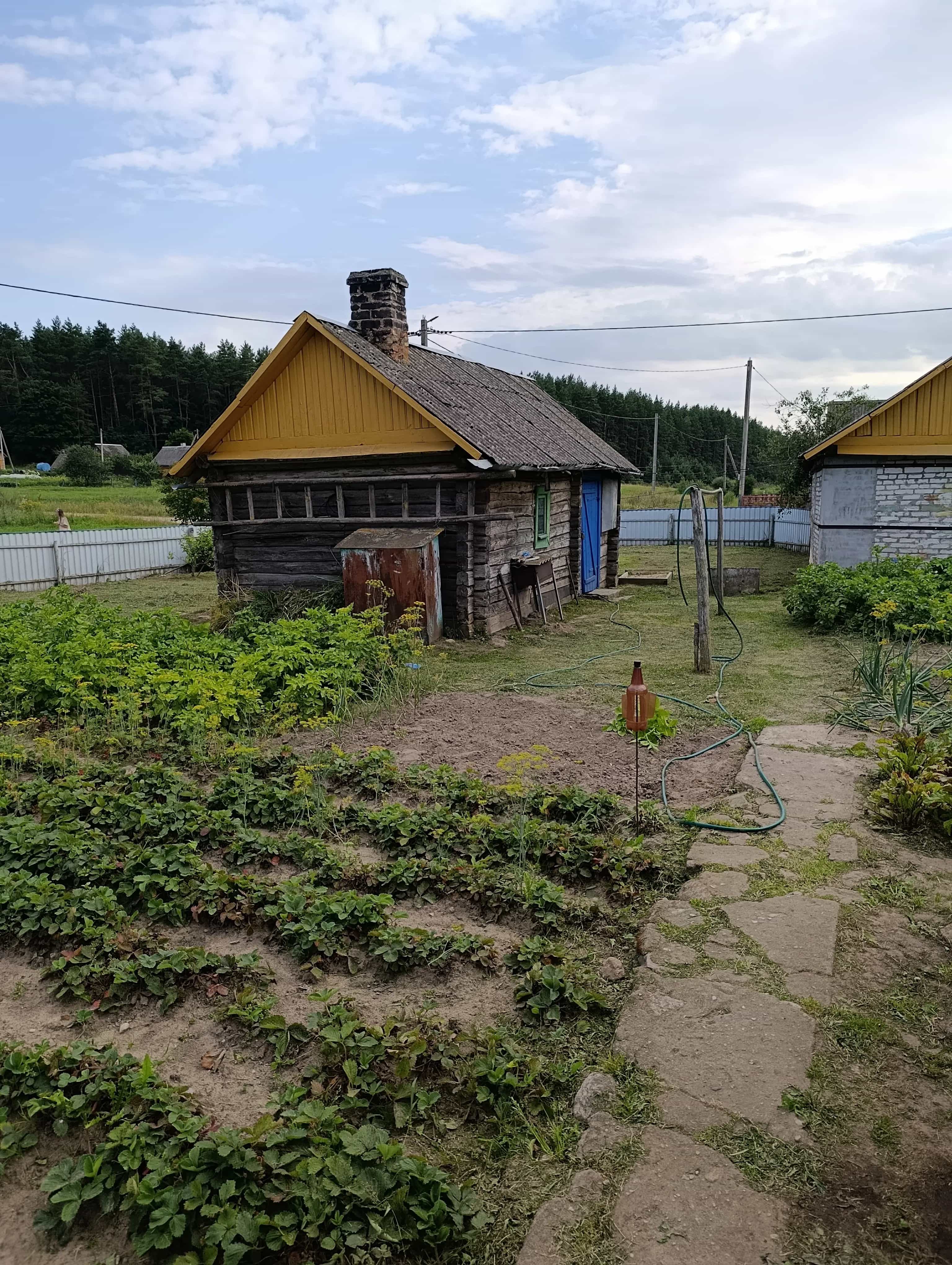 Беларусь, Минская область, Столбцовский район, Шашковский сельсовет, агрогородок Шашки, Подлесная улица, 8, фото 18