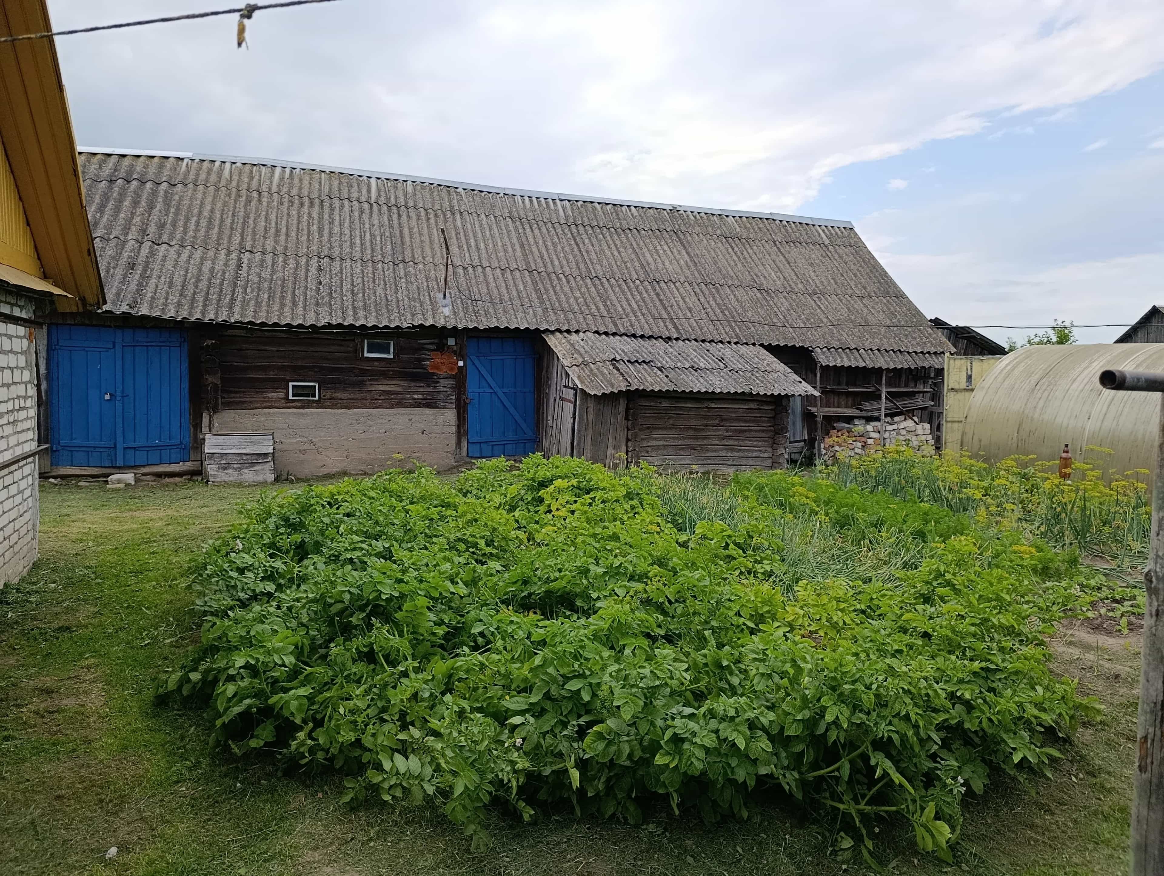 Беларусь, Минская область, Столбцовский район, Шашковский сельсовет, агрогородок Шашки, Подлесная улица, 8, фото 19