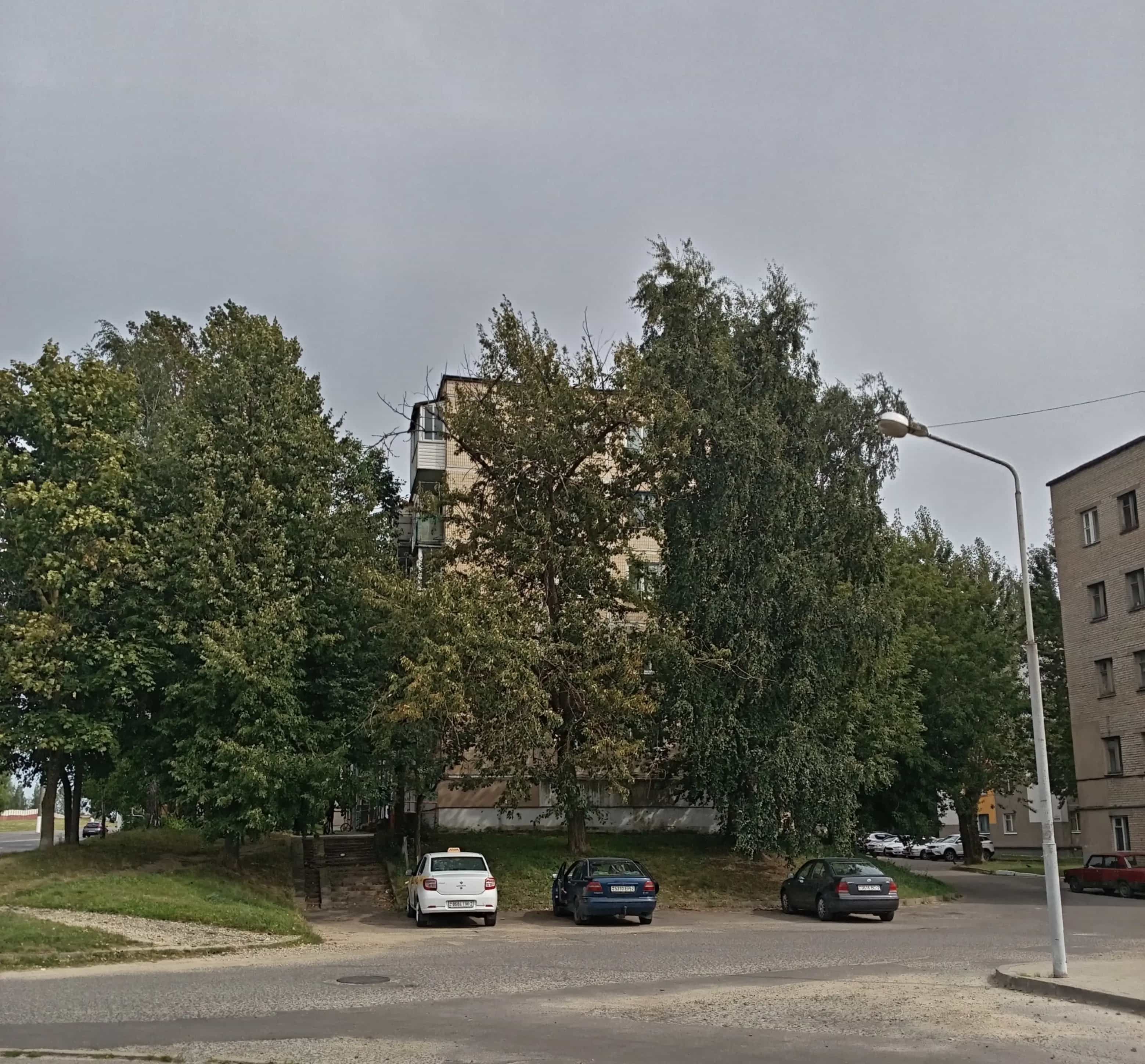 Беларусь, Витебск, улица Правды, 61к1, фото 5