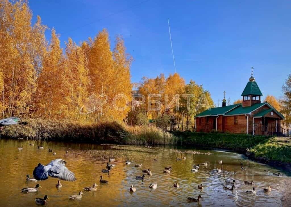 Россия, Тюмень, улица Николая Фёдорова, 11, фото 22