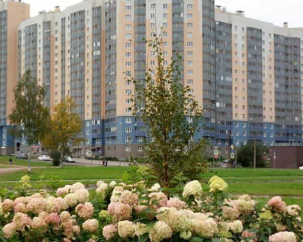 Фото объекта