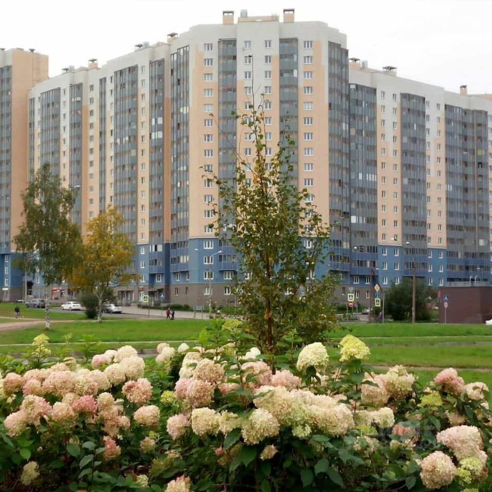 Россия, Санкт-Петербург, улица Белышева, 5/6