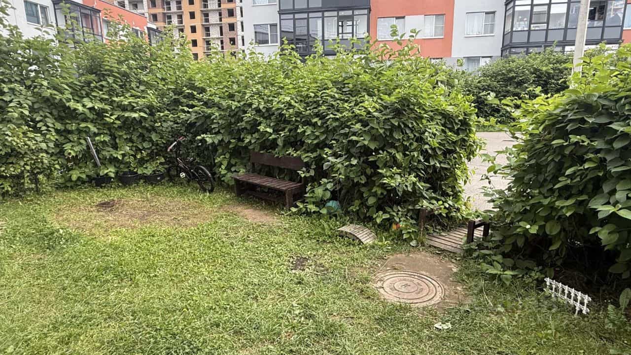 Россия, Ленинградская область, Всеволожский район, Агалатовское сельское поселение, деревня Скотное, Рождественская улица, 1к1, фото 29