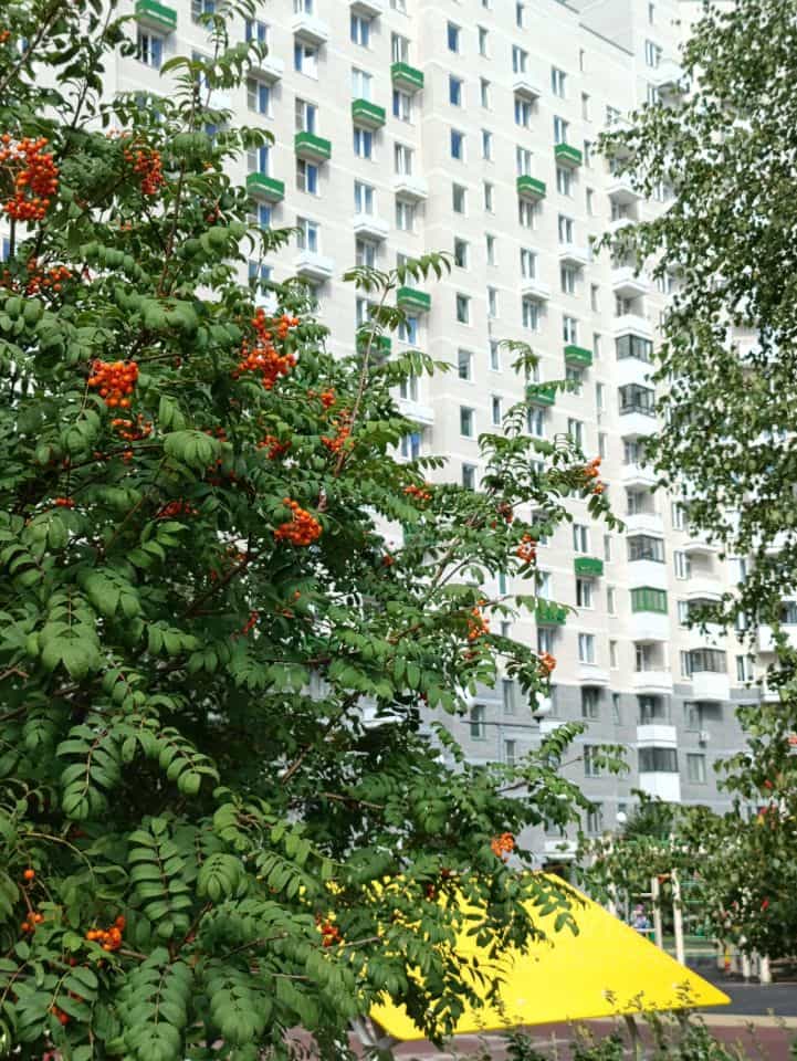 Россия, Свердловская область, Екатеринбург, Суходольская улица, 47, фото 21