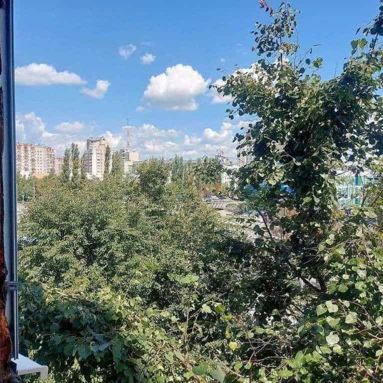 Россия, Белгород, улица Щорса, 40, фото 15