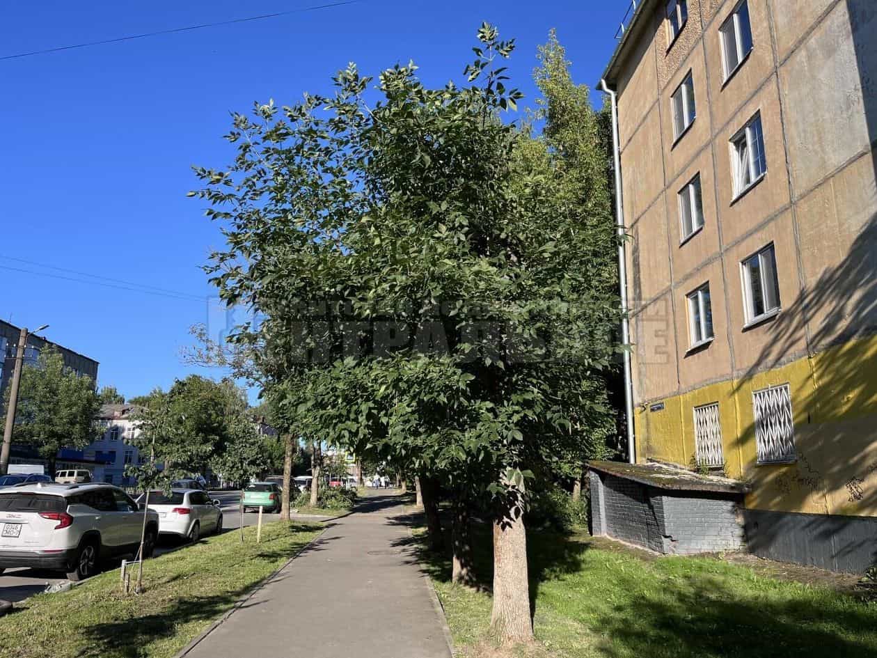 Россия, Смоленск, улица Академика Петрова, 5, фото 19