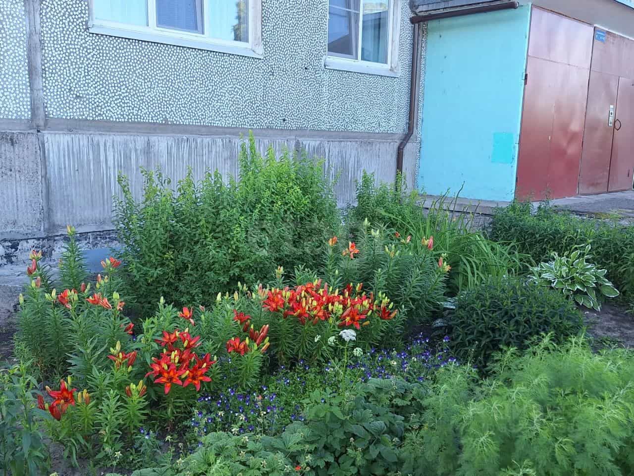 Россия, Архангельск, Холмогорская улица, 16, фото 17