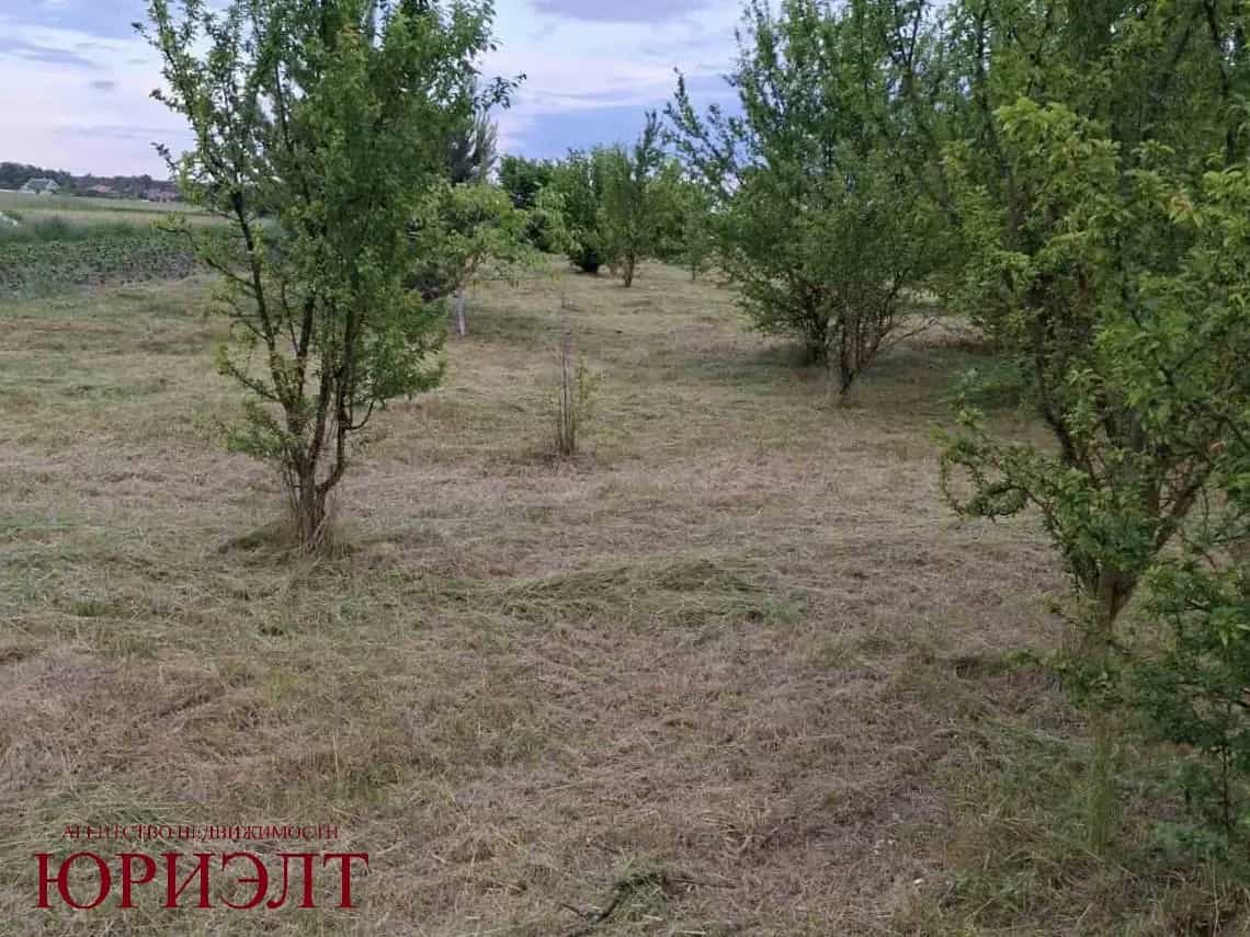 Беларусь, Брестский район, Чернинский сельсовет, деревня Бердичи, Центральная улица, 27/3, фото 4