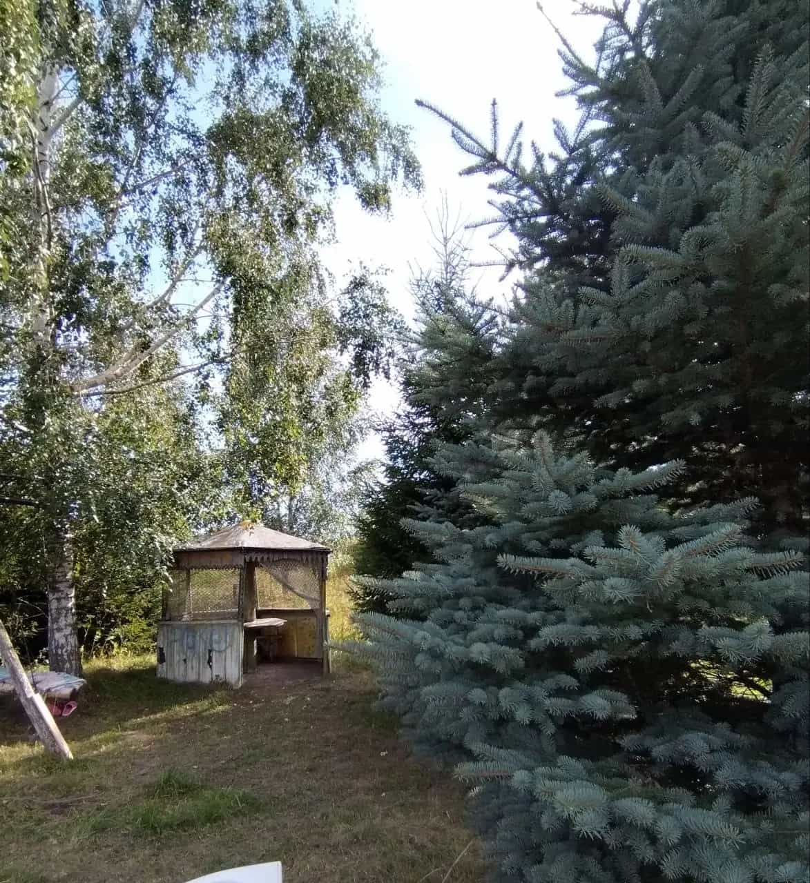 Беларусь, Витебский район, Новкинский сельсовет, агрогородок Новка, Манежная улица, 1, фото 3