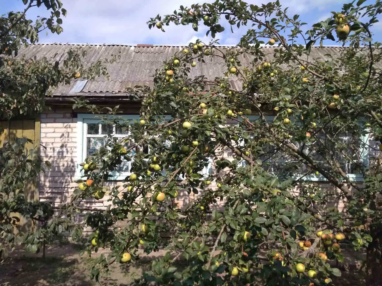 Беларусь, Минская область, Узденский сельсовет, агрогородок Зеньковичи, Луговая улица, 16, фото 11