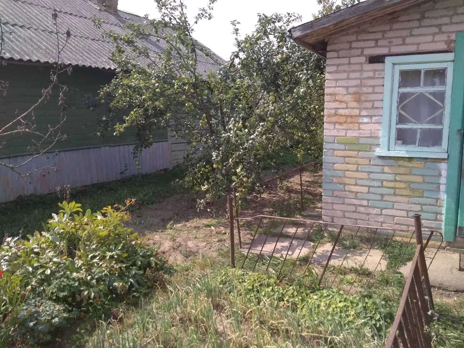 Беларусь, Минская область, Узденский сельсовет, агрогородок Зеньковичи, Луговая улица, 16, фото 13