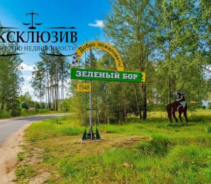 Беларусь, Минская область, Смолевичский район, городской посёлок Зелёный Бор, Железнодорожная улица, 1, фото 46