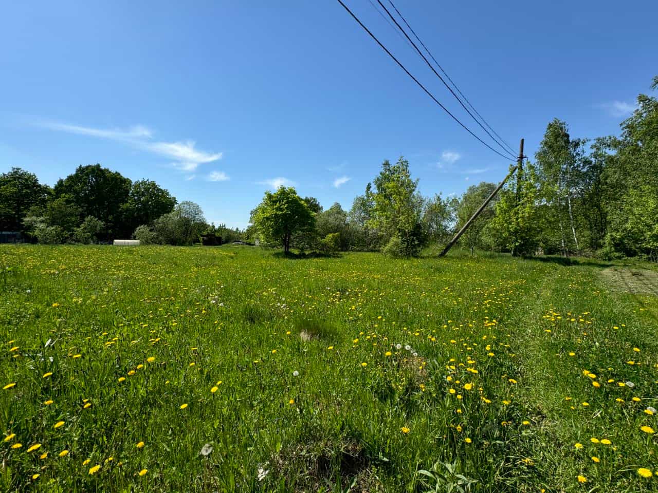 Россия, Тульская область, Алексин, Новогородищенская улица, 13, фото 39