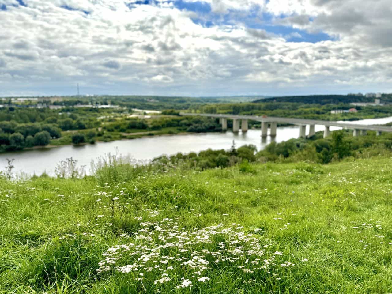 Россия, Тульская область, Алексин, Новогородищенская улица, 13, фото 46