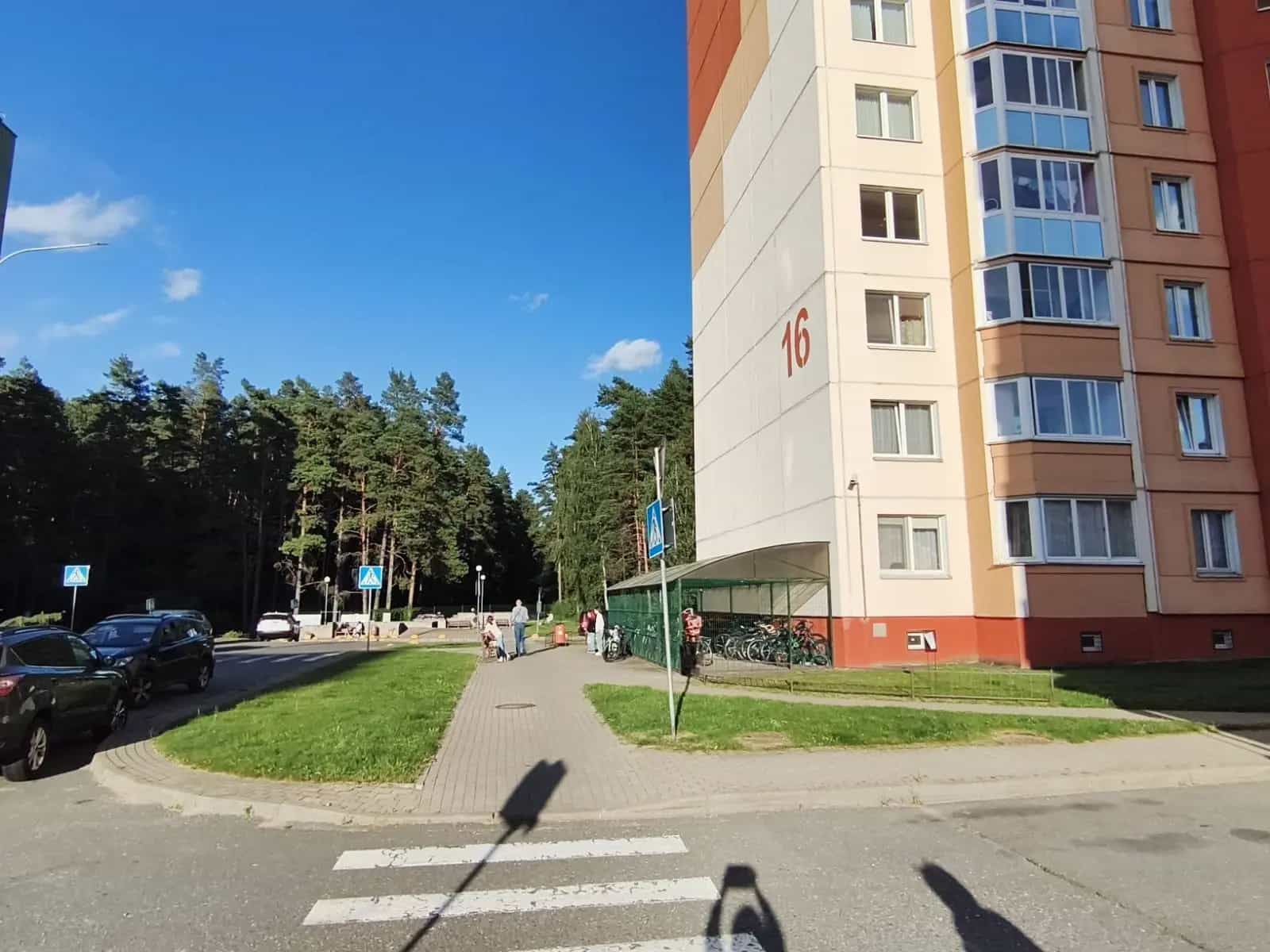 Беларусь, Минский район, Боровлянский сельсовет, агрогородок Лесной, улица Н.Н. Александрова, 16, фото 28