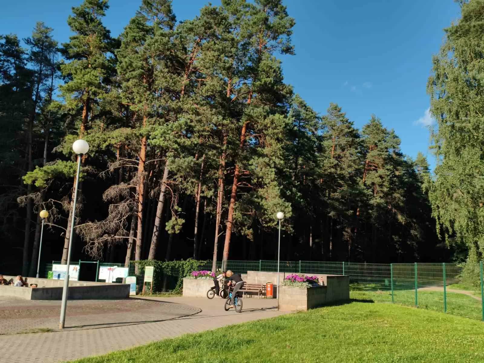 Беларусь, Минский район, Боровлянский сельсовет, агрогородок Лесной, улица Н.Н. Александрова, 16, фото 30