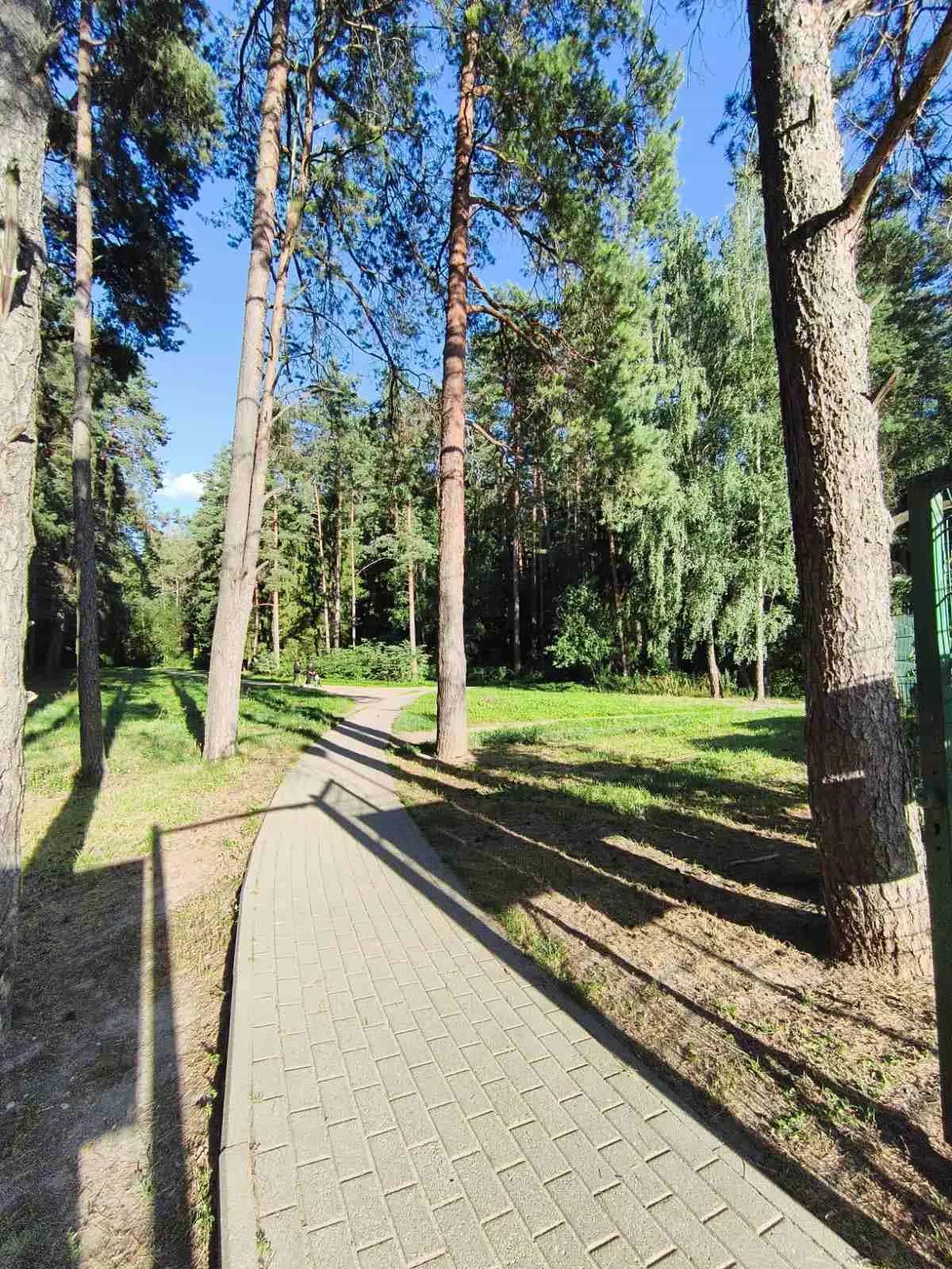 Беларусь, Минский район, Боровлянский сельсовет, агрогородок Лесной, улица Н.Н. Александрова, 16, фото 31