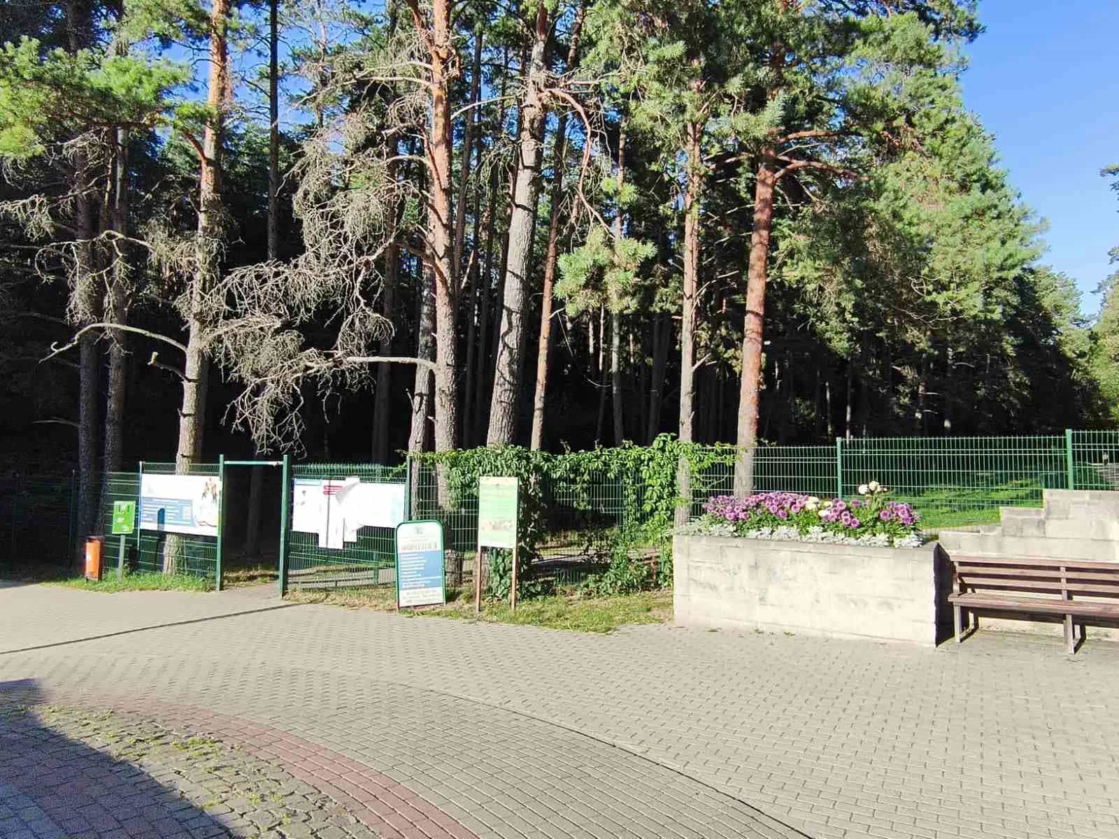Беларусь, Минский район, Боровлянский сельсовет, агрогородок Лесной, улица Н.Н. Александрова, 16, фото 32