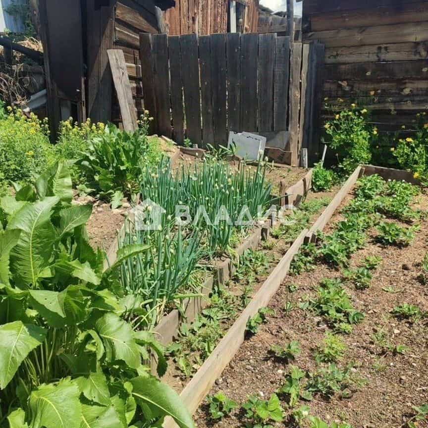 Россия, Республика Бурятия, Улан-Удэ, улица Сентарецкого, 23, фото 20