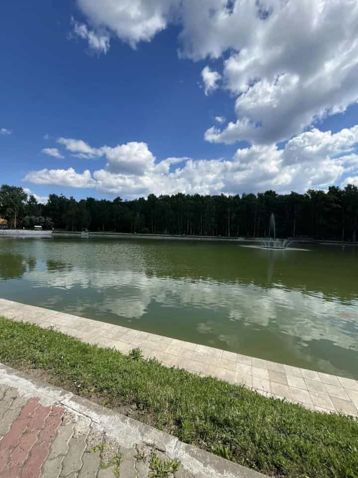 Россия, Республика Татарстан (Татарстан), Зеленодольск, улица Энгельса, 36, фото 11