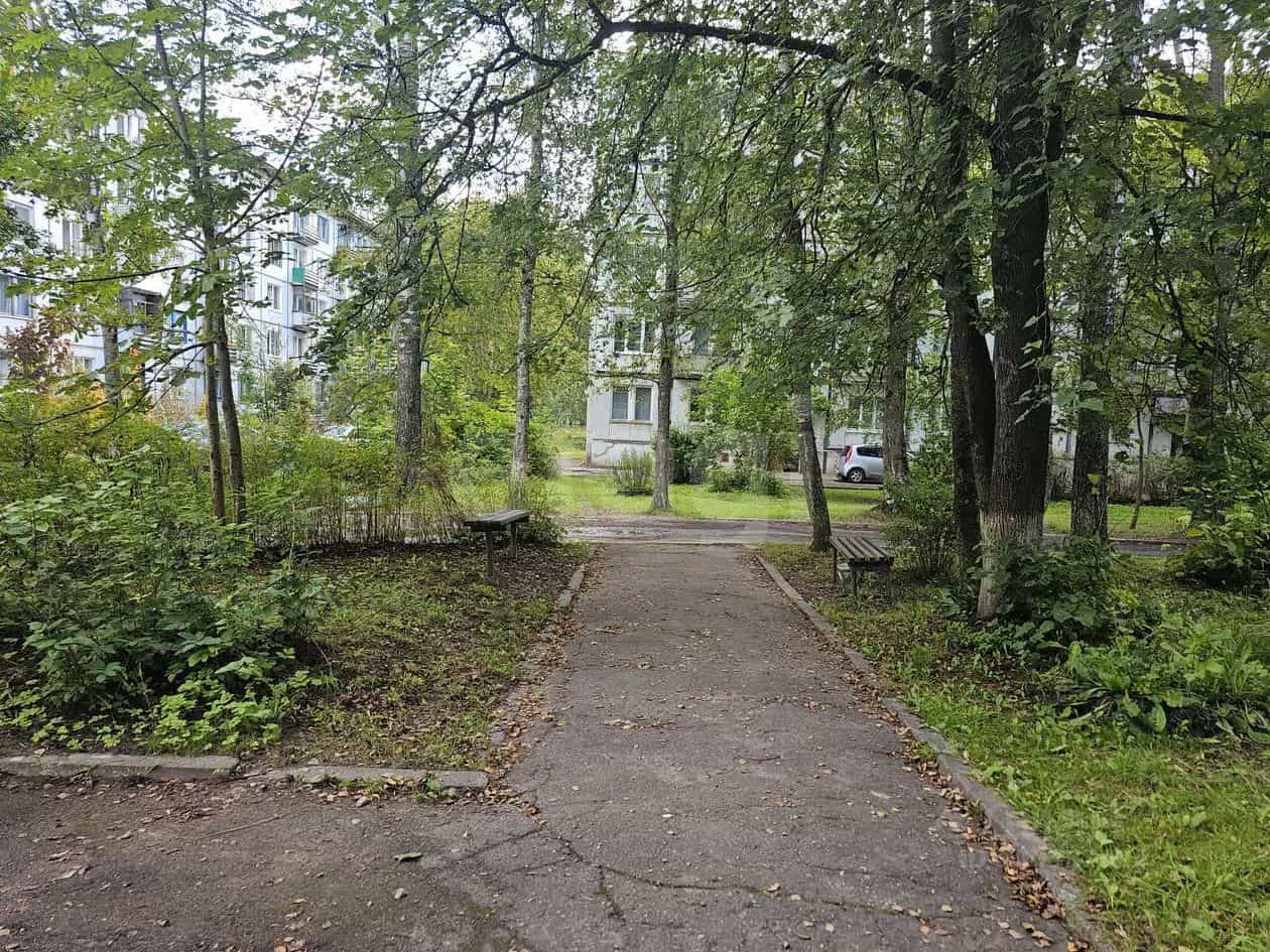 Россия, Псковская область, Остров, квартал Остров-3, 17, фото 21