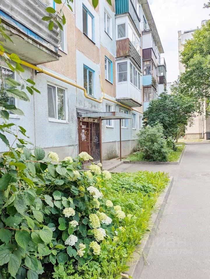 Россия, Псков, Красноармейская улица, 25, фото 25