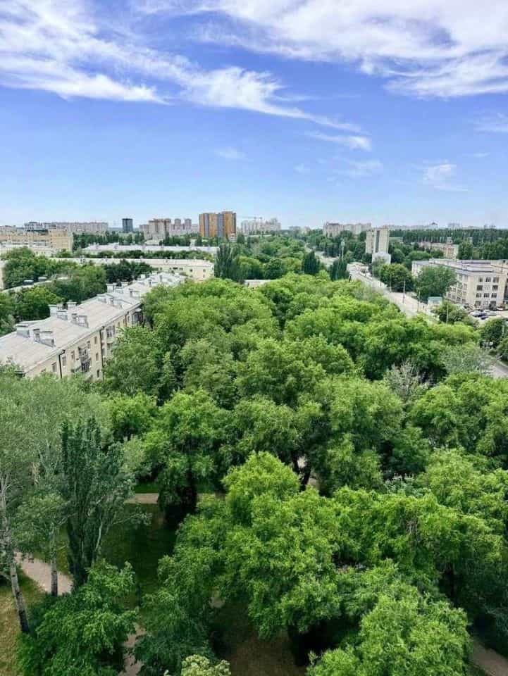 Россия, Воронеж, улица Ворошилова, 1, фото 22