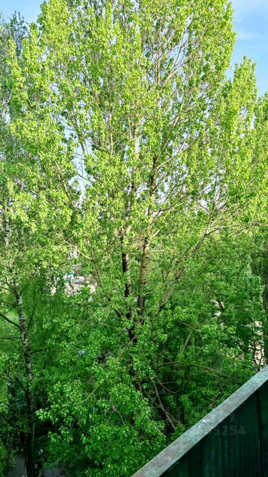 Россия, Калининград, улица Маршала Борзова, 66, фото 13