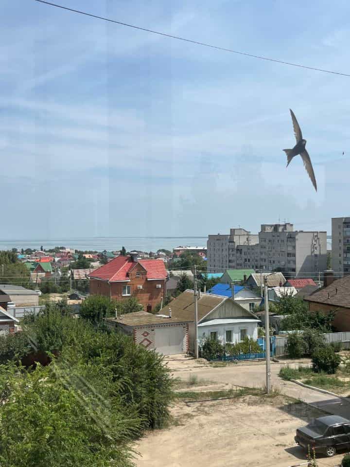 Россия, Волгоградская область, Камышин, Рижская улица, 5, фото 12