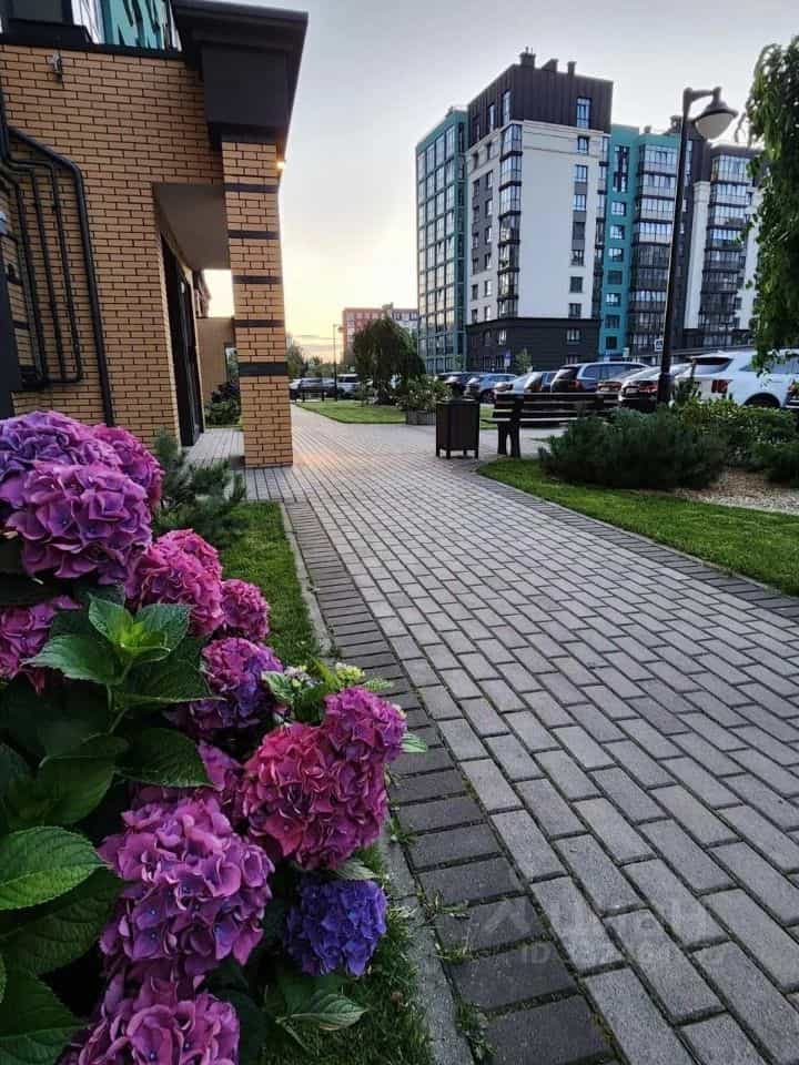 Россия, Калининград, Артиллерийская улица, 85Ак1, фото 16