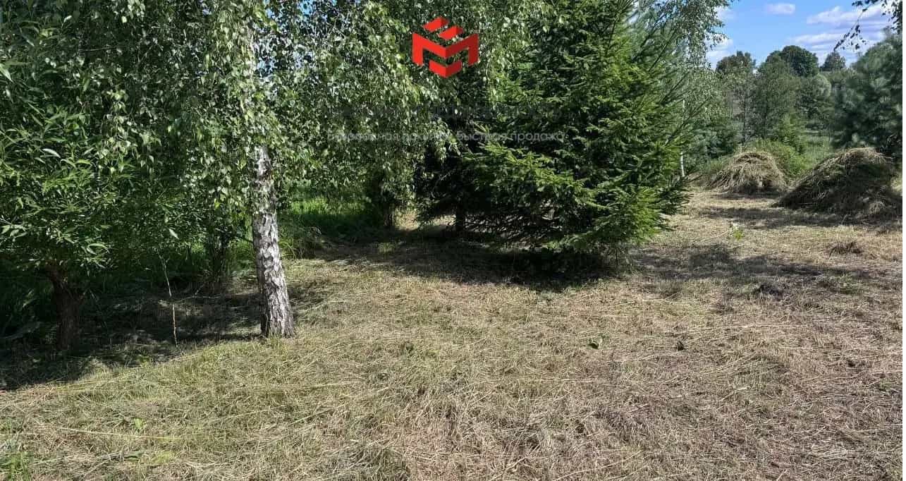 Беларусь, Витебская область, Браславский район, Опсовский сельсовет, деревня Купчели, 31А, фото 4