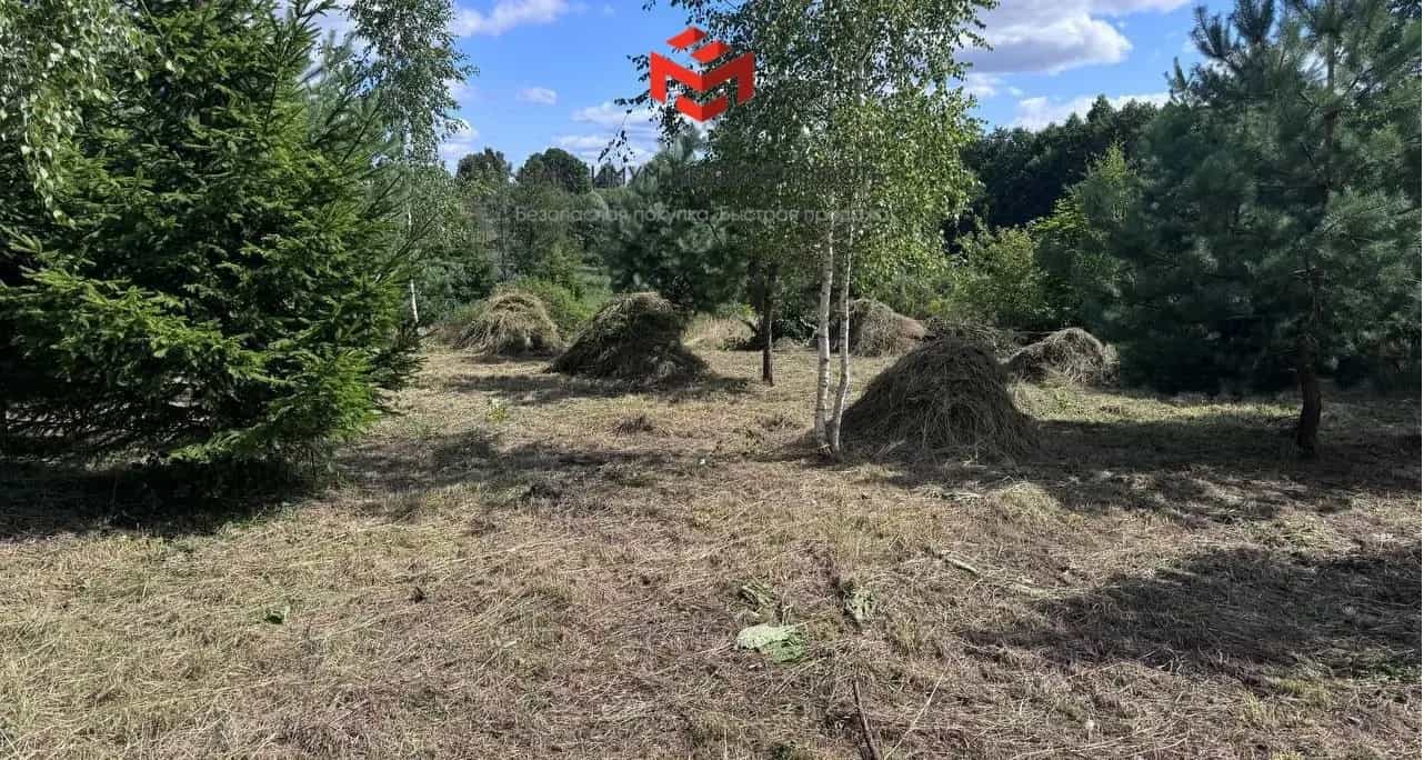 Беларусь, Витебская область, Браславский район, Опсовский сельсовет, деревня Купчели, 31А, фото 6