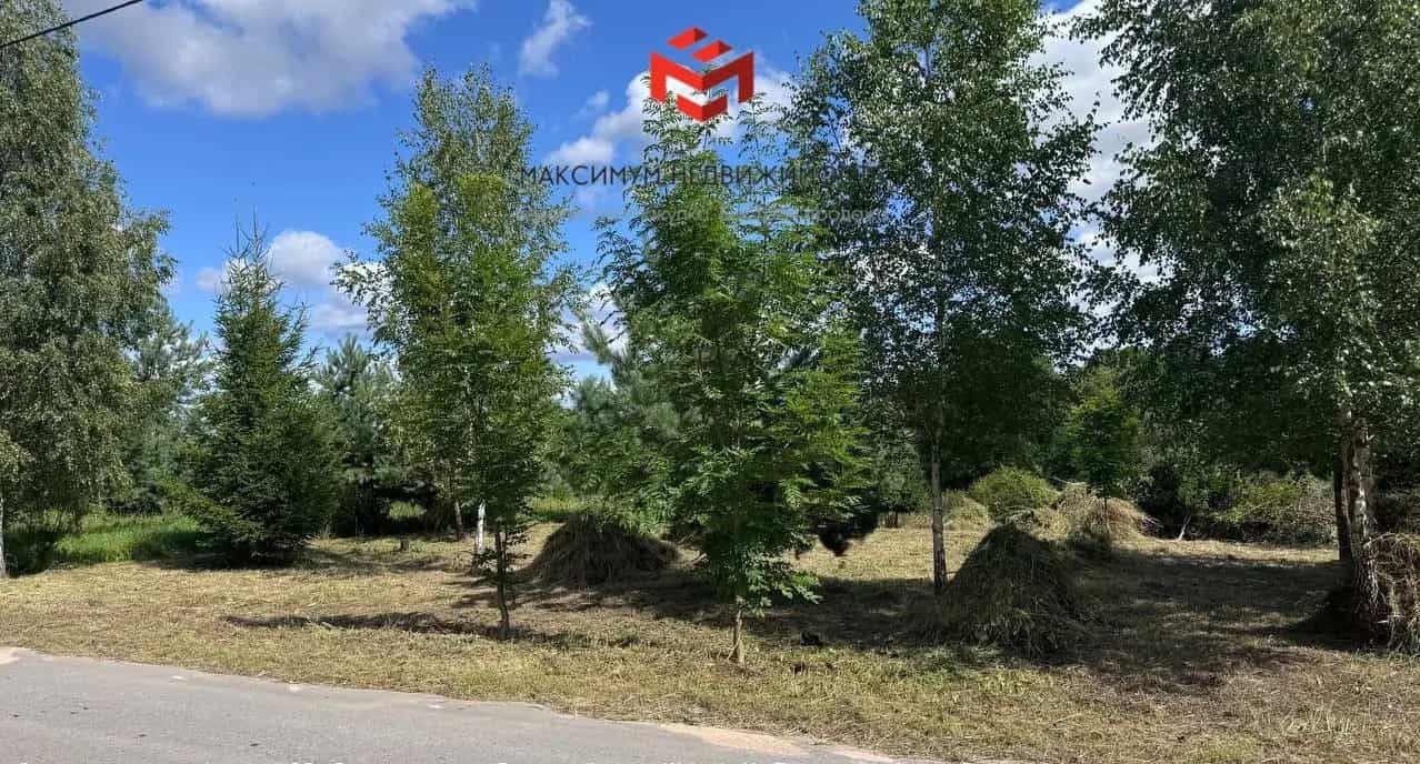 Беларусь, Витебская область, Браславский район, Опсовский сельсовет, деревня Купчели, 31А, фото 7