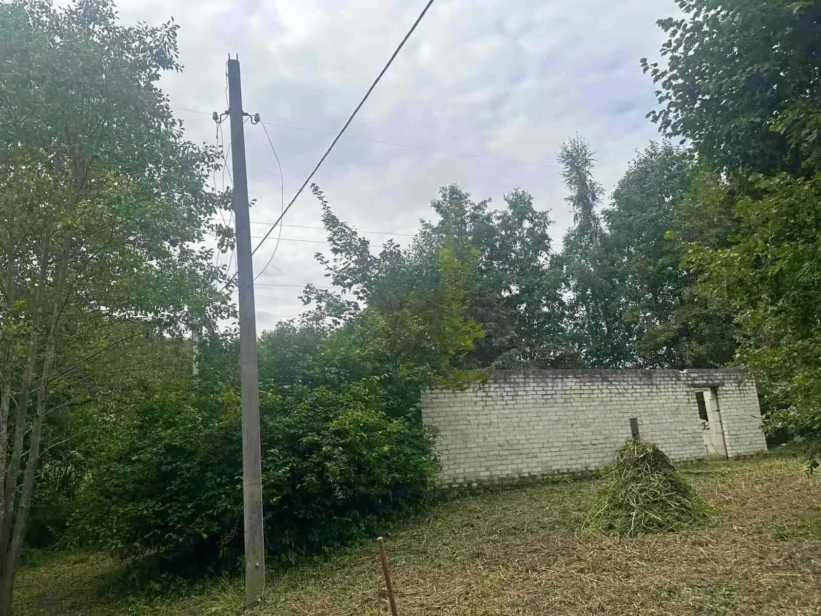 Беларусь, Гродненская область, Сморгонский район, Синьковский сельсовет, деревня Кевлы, 31, фото 6