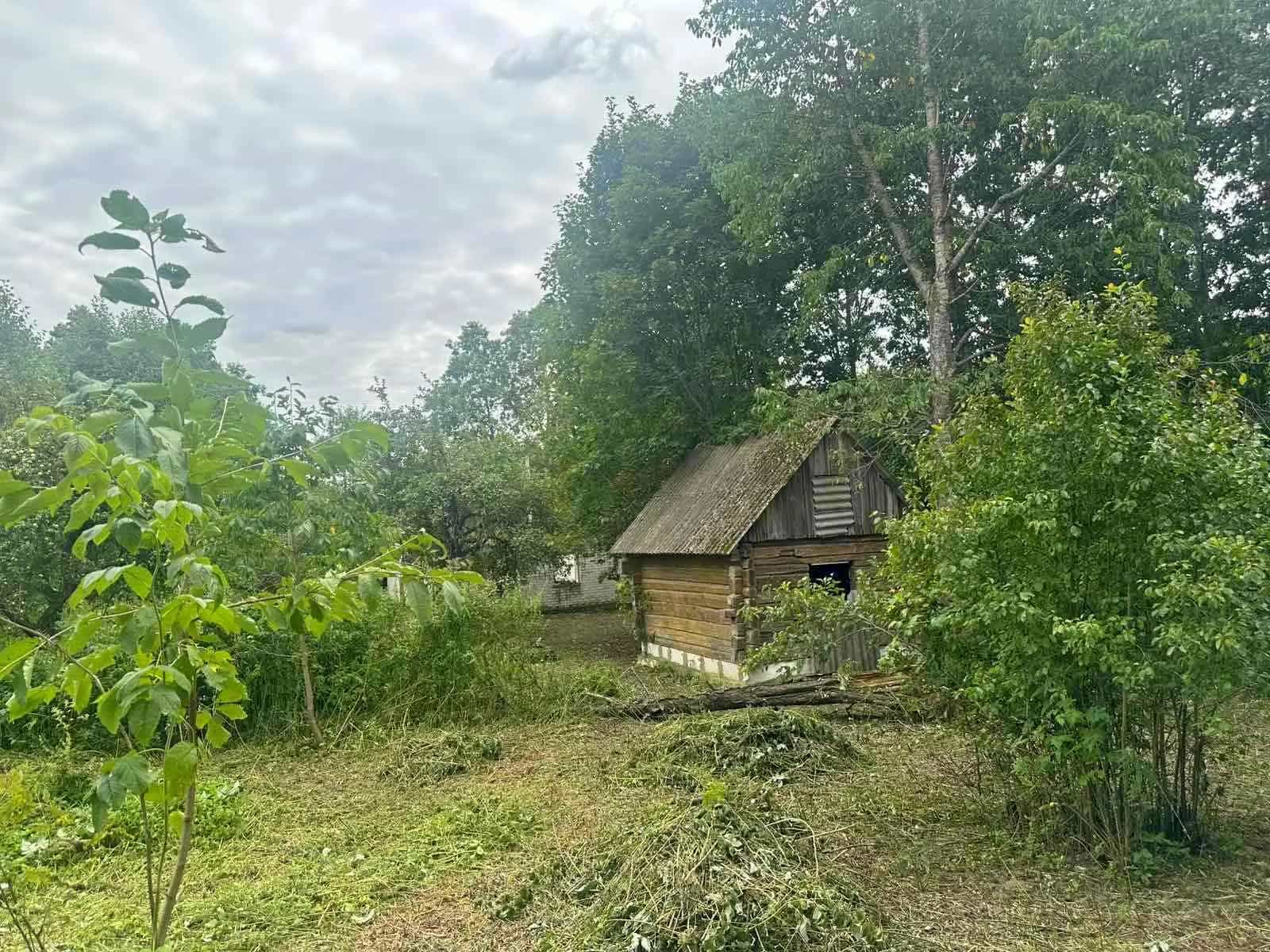 Беларусь, Гродненская область, Сморгонский район, Синьковский сельсовет, деревня Кевлы, 31, фото 11