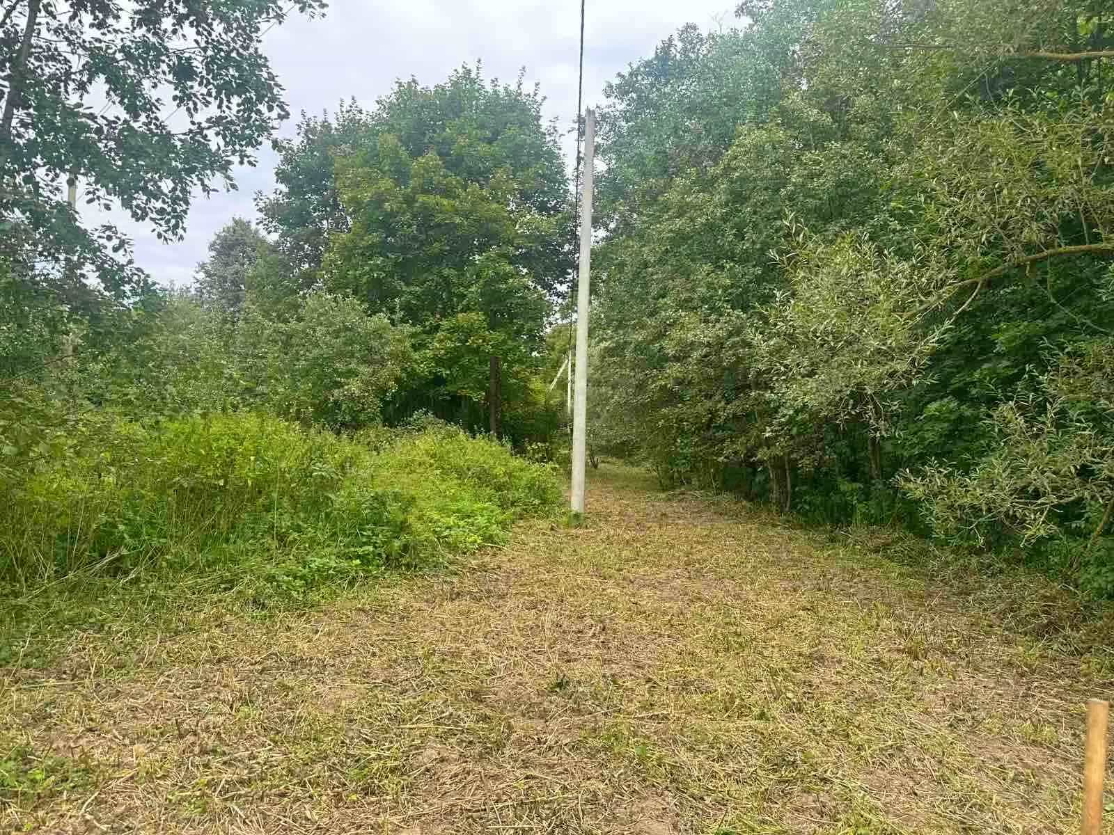 Беларусь, Гродненская область, Сморгонский район, Синьковский сельсовет, деревня Кевлы, 31, фото 13