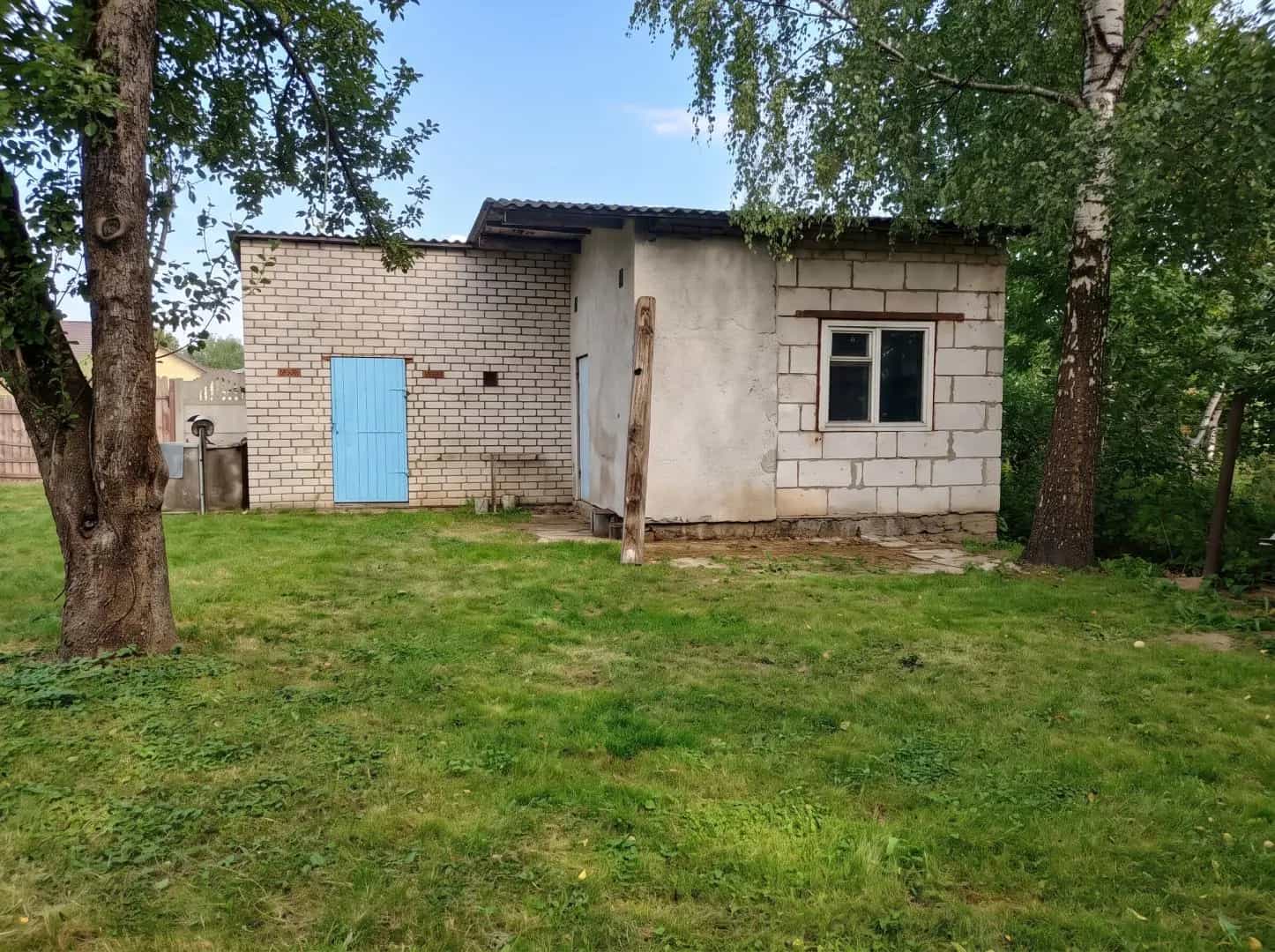 Беларусь, Минская область, Солигорский район, Чижевичский сельсовет, деревня Чижевичи, Центральная улица, 45, фото 10