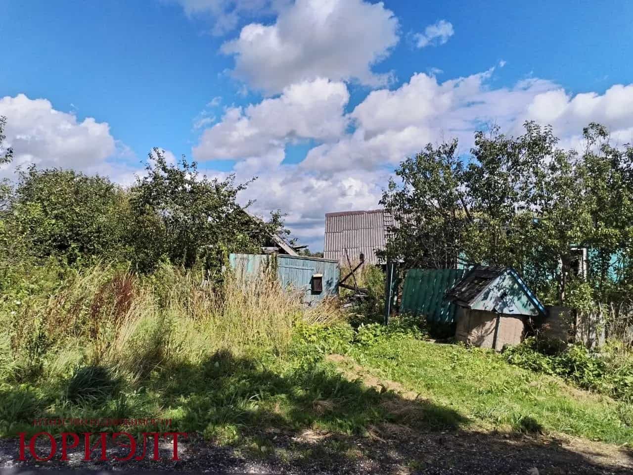 Беларусь, Витебский район, Бабиничский сельсовет, агрогородок Бабиничи, Зелёная улица, 7, фото 3