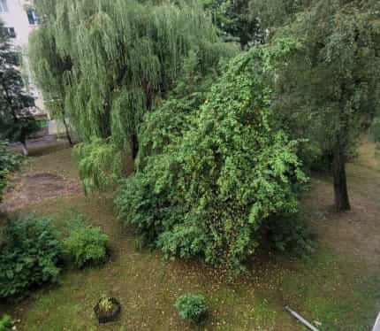 Беларусь, Брестская область, Барановичи, улица Наконечникова, 3, фото 25