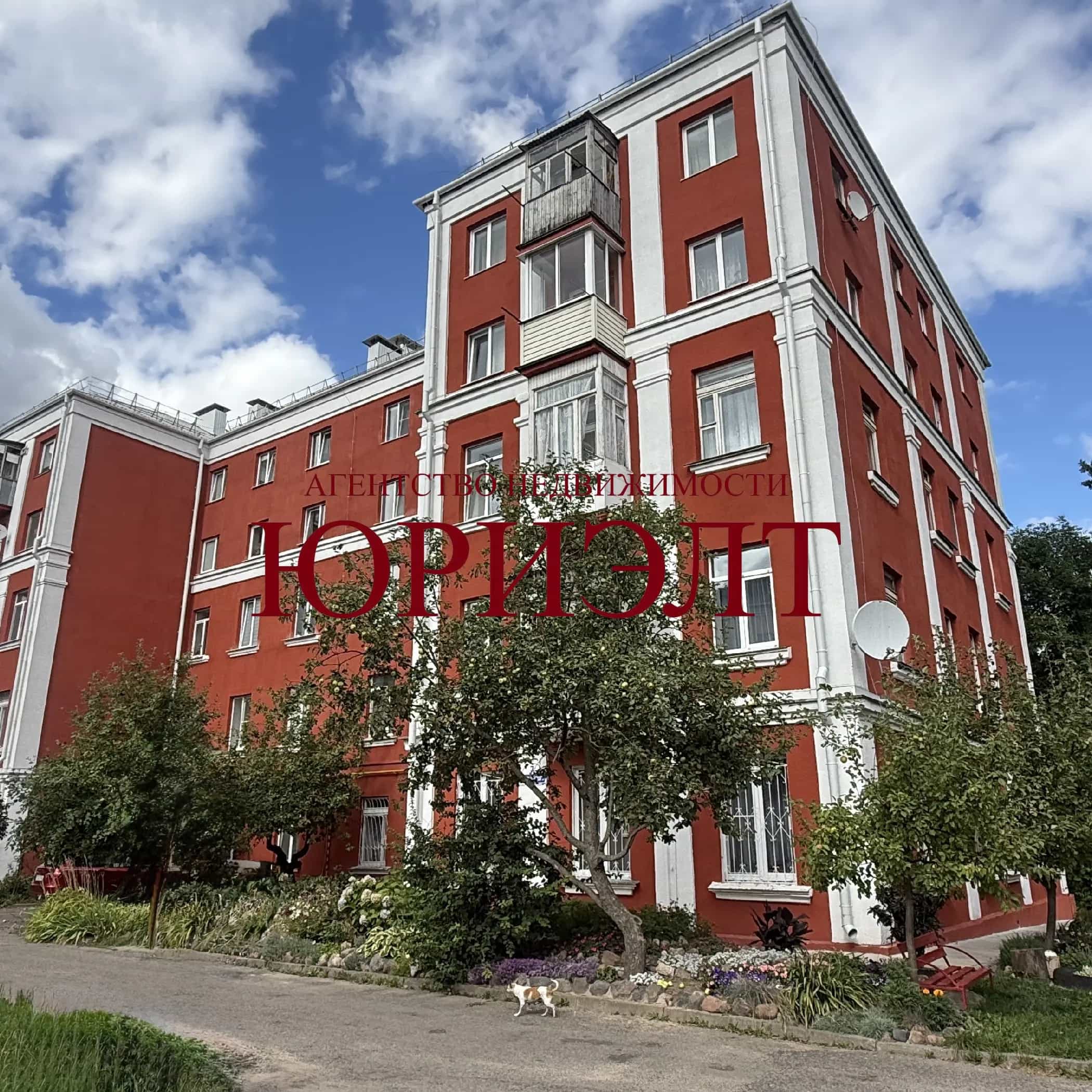 Беларусь, Витебск, улица Ильинского, 7