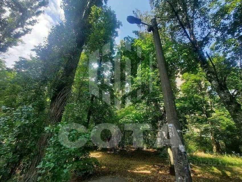 Россия, Воронеж, Пеше-Стрелецкая улица, 153, фото 21