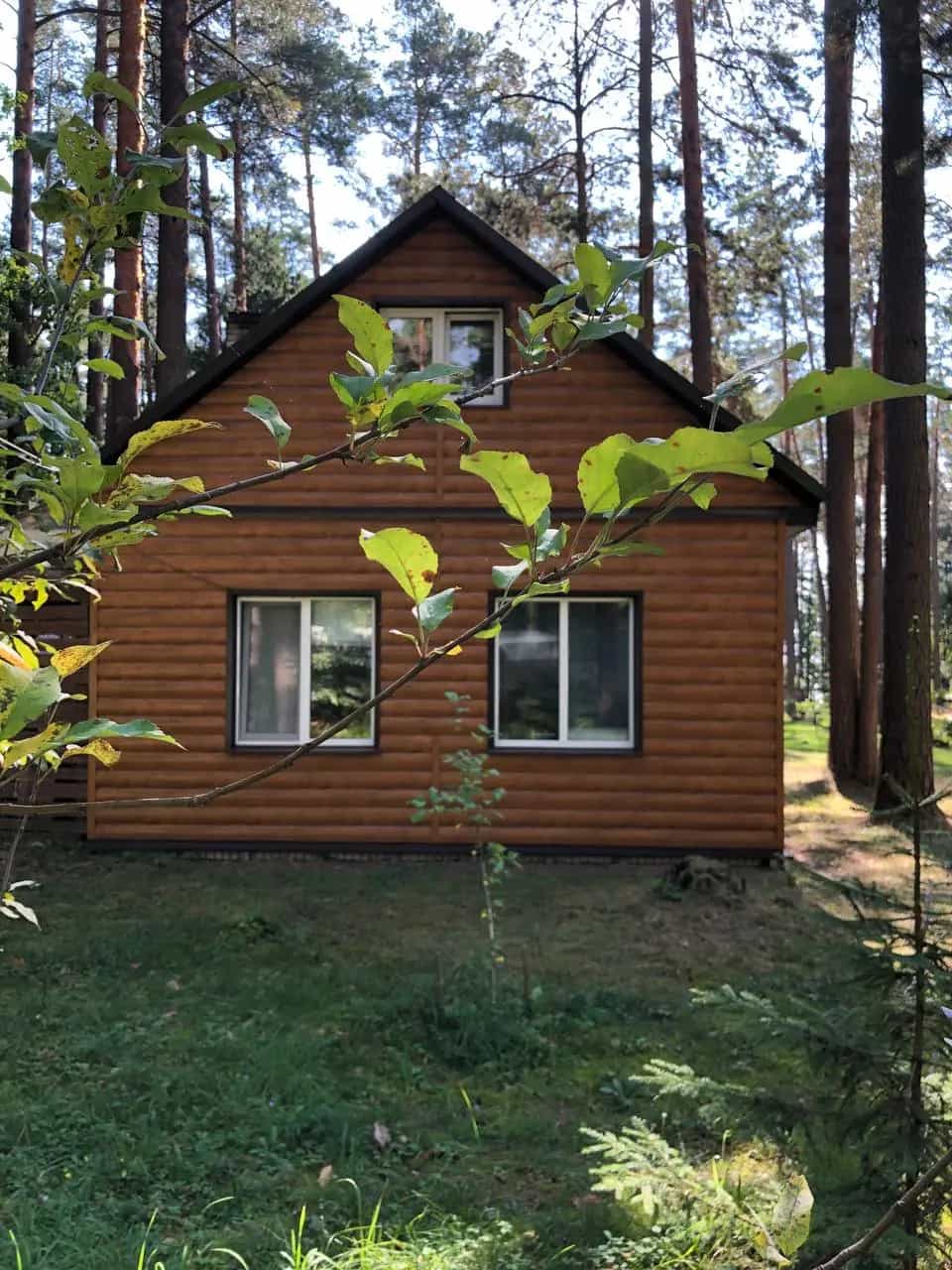Беларусь, Могилёвская область, Кировский район, Стайковский сельсовет, деревня Чигиринка, Набережная улица, 11, фото 4