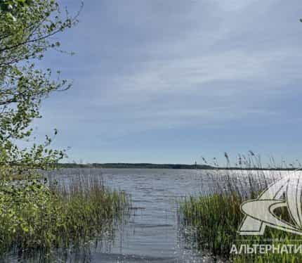 Беларусь, Брестская область, Кобринский район, агрогородок Дивин, улица Ленина, 81, фото 9