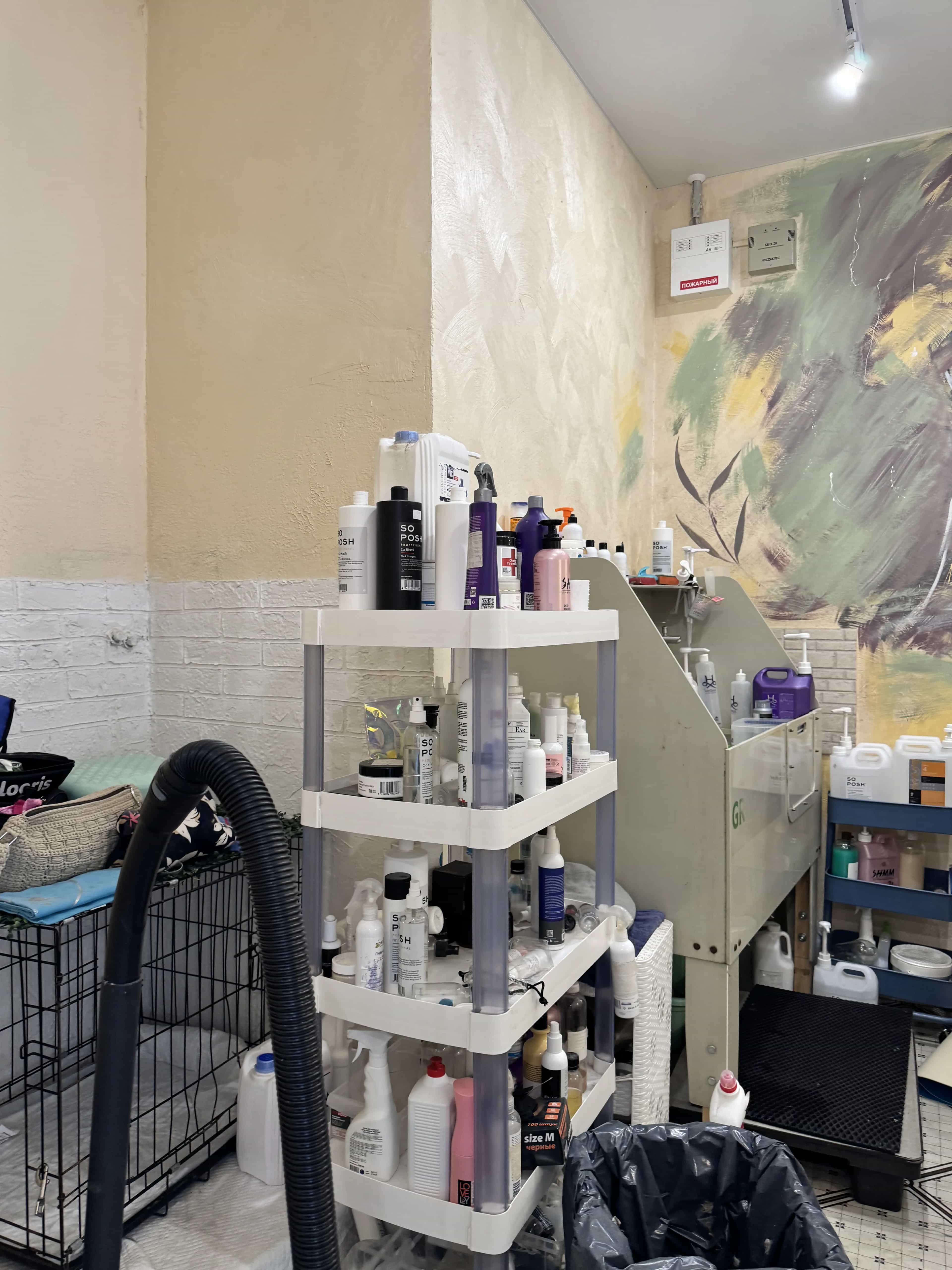 Беларусь, Минск, улица Филимонова, 22А, фото 7