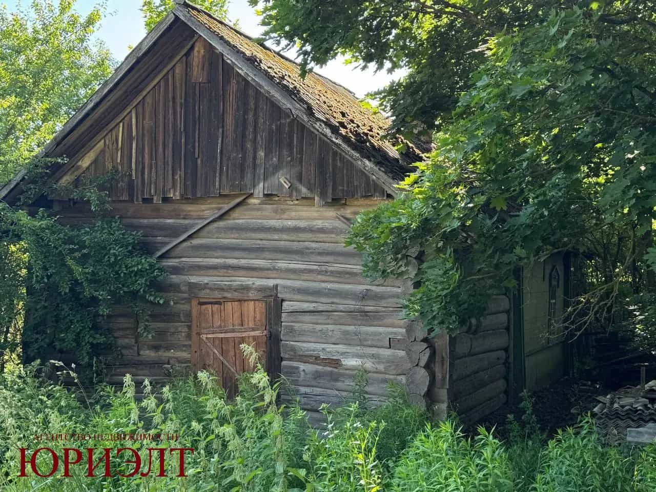 Беларусь, Могилёвский район, Княжицкий сельсовет, деревня Браково, Центральная улица, 64, фото 3