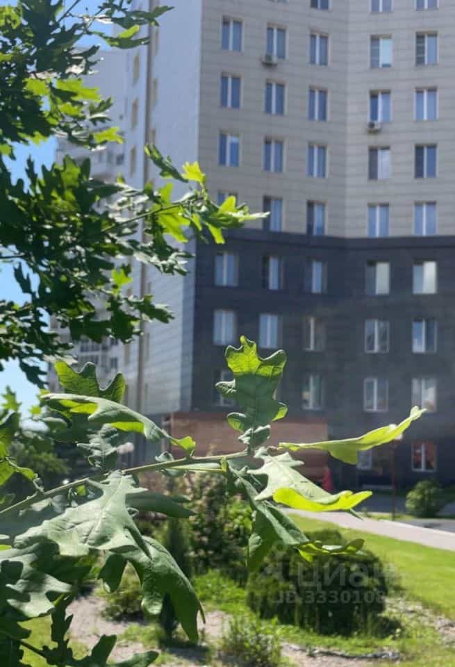 Россия, Новосибирск, улица Шевченко, 15, фото 40