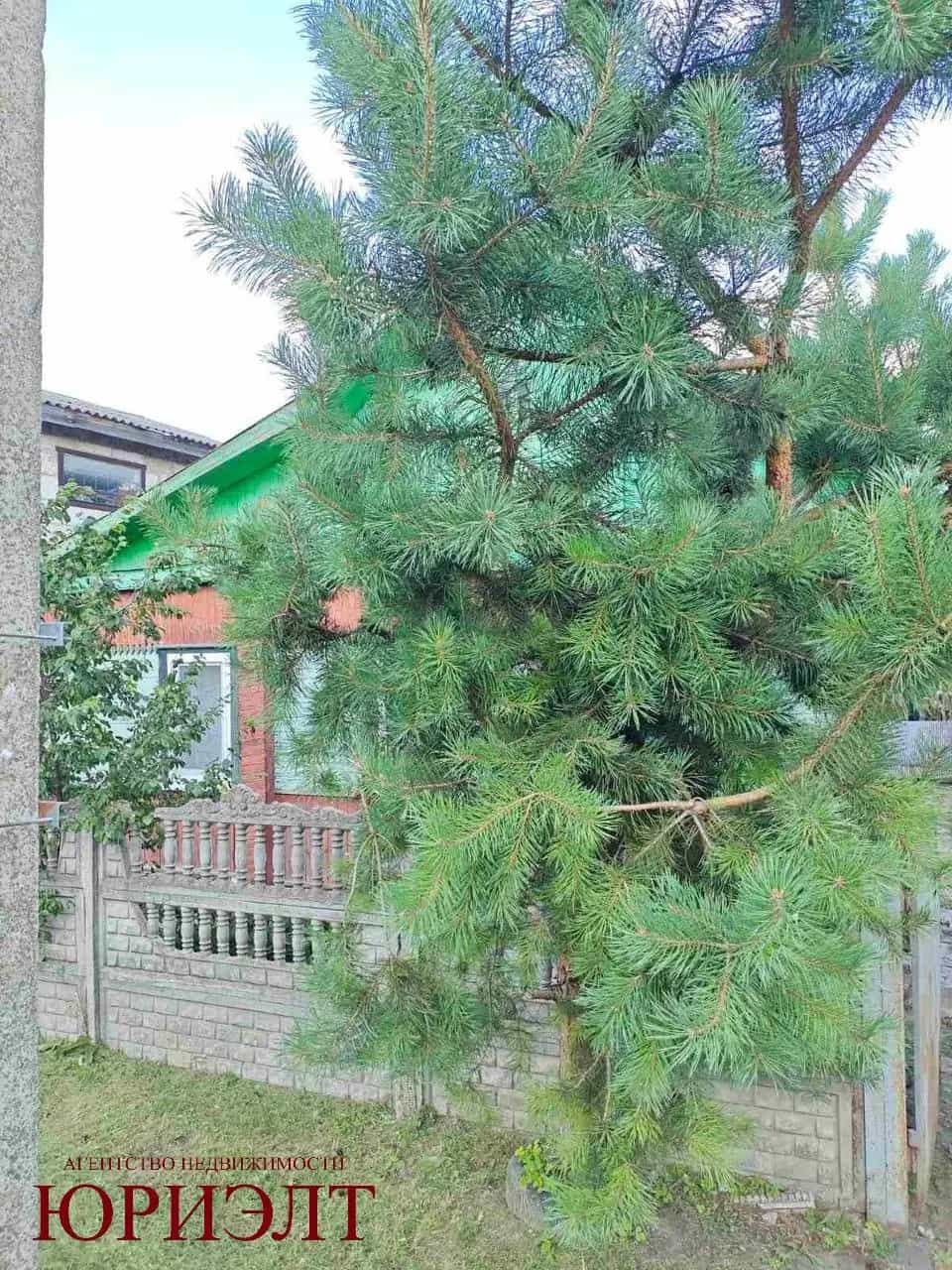 Беларусь, Могилёв, Актюбинская улица, 47, фото 2